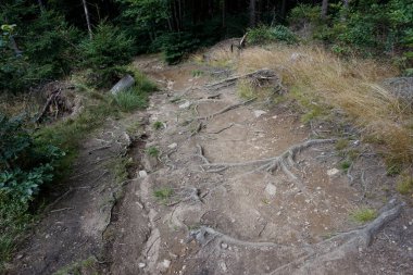 Baykuş Dağları 'ndaki patika, Polonya