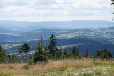 Polonya 'nın Baykuş Dağlarındaki Çayır