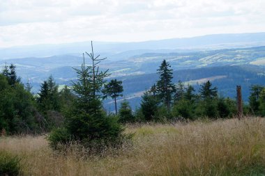 Polonya 'nın Baykuş Dağlarındaki Çayır