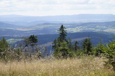 Polonya 'nın Baykuş Dağlarındaki Çayır