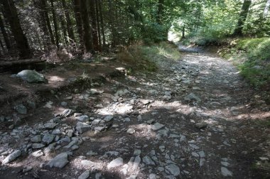 Baykuş Dağları 'ndaki patika, Polonya