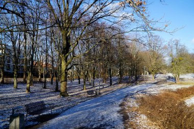 Parkda ahşap bankları olan patika - kış mevsimi
