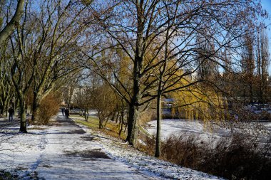Kar ve ağaçlar göl kıyısında parkta - kış mevsimi