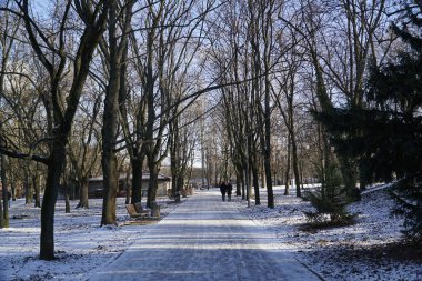 Parkın patikası - kış mevsimi