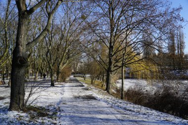Park yeri ve donmuş göl kışın güneşli bir günde