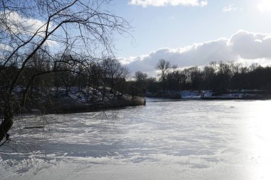 Güneşli bir günde parkta donmuş göl - kış mevsimi