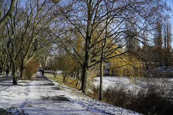 Kar ve ağaçlar göl kıyısında parkta - kış mevsimi