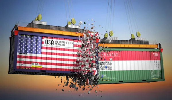 ABD ve Macaristan bayraklı kargo konteynerleri - 3D illüstrasyon