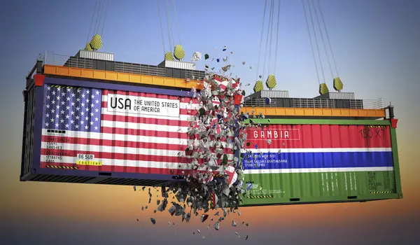ABD ve Gambiya bayraklı kargo konteynerleri - 3 boyutlu illüstrasyon