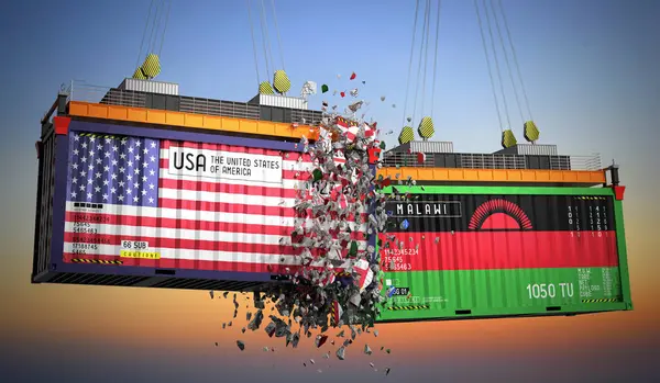 ABD ve Malawi bayraklı kargo konteynerleri - 3 boyutlu illüstrasyon
