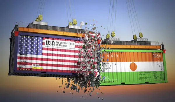 ABD ve Nijer bayraklı kargo konteynerleri - 3 boyutlu illüstrasyon