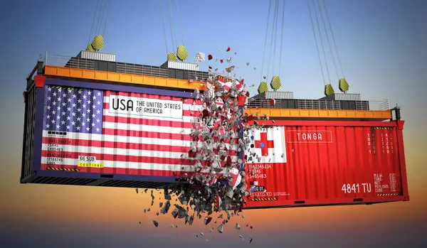 ABD ve Tonga bayraklı kargo konteynerleri - 3 boyutlu illüstrasyon