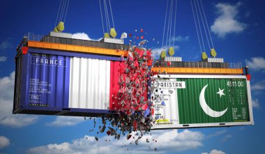 Üzerinde Fransa ve Pakistan bayrakları olan kargo konteynerleri - 3 boyutlu illüstrasyon