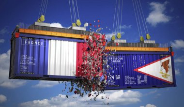 Fransız ve Amerikan Samoası bayraklı kargo konteynerleri - 3 boyutlu illüstrasyon