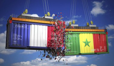 Üzerinde Fransa ve Senegal bayrakları olan kargo konteynerleri - 3 boyutlu illüstrasyon