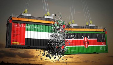 Birleşik Arap Emirlikleri ve Kenya 'nın bayraklı kargo konteynerleri - 3 boyutlu illüstrasyon