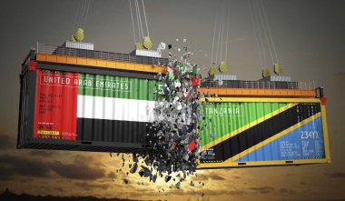 Birleşik Arap Emirlikleri ve Tanzanya bayraklı kargo konteynerleri - 3 boyutlu illüstrasyon
