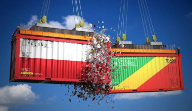 Polonya ve Kongo Cumhuriyeti bayraklı kargo konteynerleri - 3 boyutlu illüstrasyon