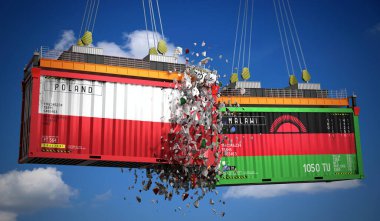 Polonya ve Malawi bayraklı kargo konteynerleri - 3 boyutlu illüstrasyon