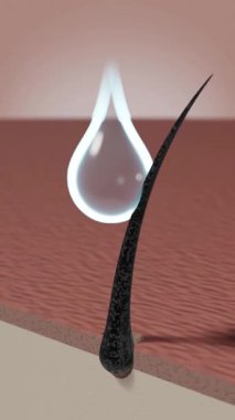 Tek saç kökü - şampuan saç geliştirme konsepti - 3D 4k dikey animasyon (2160 x 3840 px)