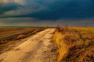 Gökyüzünün arka planında toprak yolda gök gürültülü bulutlar var. Toprak yol. Tarla bitkileri Sonbahar sezonu. Gök gürültülü bulutlar. Kasvetli gökyüzü. Doğa manzarası. Güzellik.