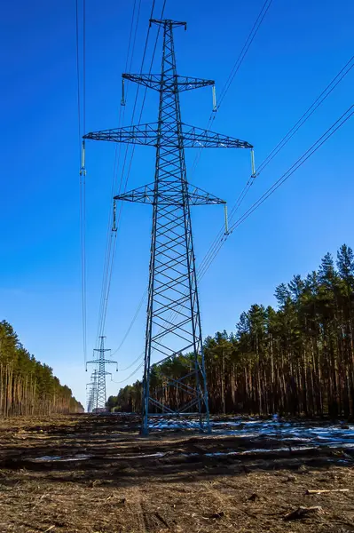 Stock image Towers with wires for high-voltage power transmission lines. High voltage line. Electric wires. Industrial towers. Energy business. Pine forest. Blue sky. Industrial horizon. Ecology.