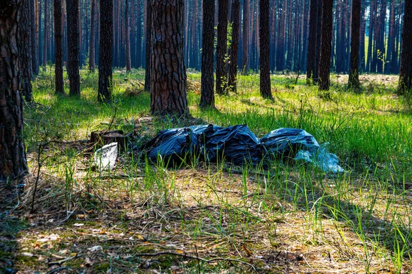 Black Plastic Garbage Bags Pine Forest Plastic Bag Environmental Pollution — 图库照片#