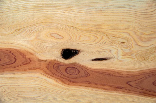 Tekstura Podłużnego Odcinka Pnia Drzewa Bough Drzewie Obraz Tła Szablon — Zdjęcie stockowe
