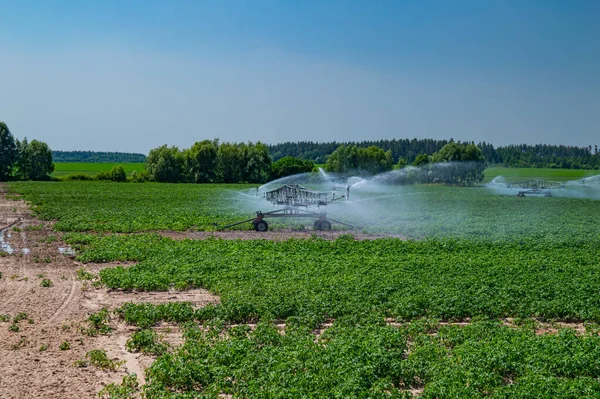 Machine irrigation of an agricultural field with water. Irrigation system. Agricultural machinery. Watering the garden. Splashes of water. Dew drops. Farm harvest processing. Eco food.