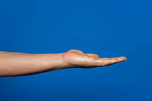 Empty mans hand, palm up on an isolated blue background. Man hand isolated on blue background, hold, grab or catch. Palm up