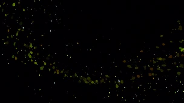 Літаючі Листя Анімація Альфа Каналом Фотографії Мають Альфа Канал Можете — стокове відео