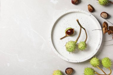 Taze ve olgun kestaneler, metin için alan