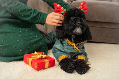 Kadın köpeğe boynuz takar, Mutlu Noeller konsepti