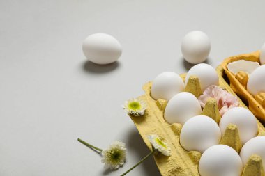 Concept of spring, eggs with flowers, space for text