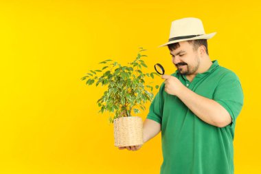 İnsan kavramı, sarı arka planda bitki yetiştiren genç şişman adam.