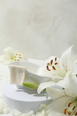 Kozmetik ve güzellik anlayışı, metin için boşluk