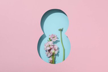 8 Mart kavramı, Kadınlar Günü, üst manzara