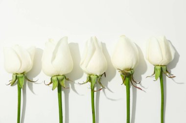 Selamlama kavramı, 8 Mart, Kadınlar Günü, metin için alan