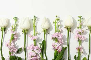 Selamlama kavramı, 8 Mart, Kadınlar Günü, metin için alan