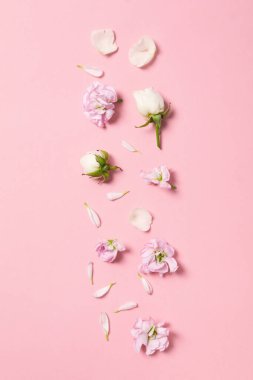 Selamlama konsepti, 8 Mart, Kadınlar Günü, üst manzara