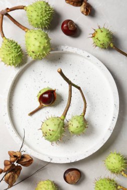 Taze ve olgun kestaneler, üst manzara, sonbahar kestaneleri