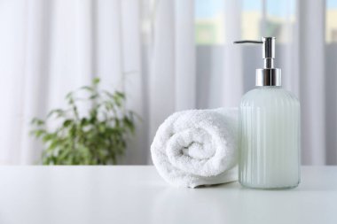 Concept of bath accessories, bath supplies, space for text