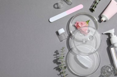 Concept of bodycare, beauty products, space for text