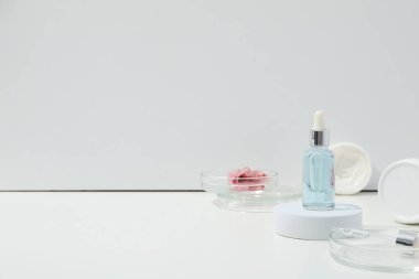 Concept of bodycare, beauty products, space for text
