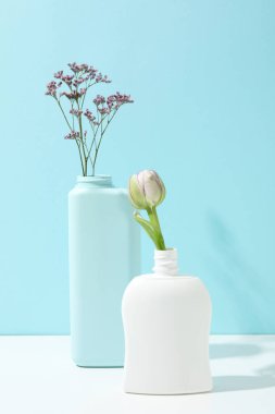 Concept of spring cleaning and house cleaning