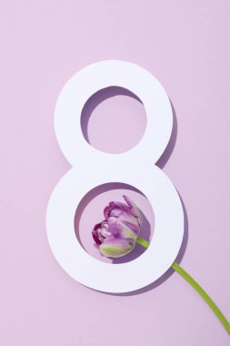 8 Mart kavramı, Kadınlar Günü, üst manzara