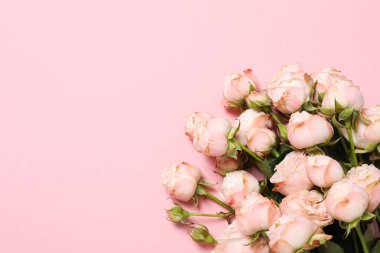 Concept of greeting, 8 march, Women's day, space for text