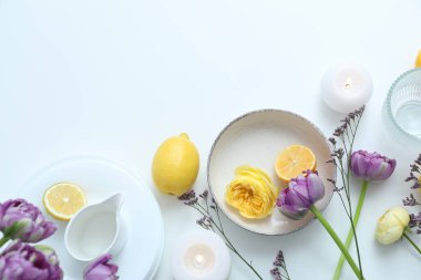 Concept of spring season table setting, space for text