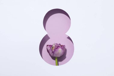 8 Mart kavramı, Kadınlar Günü, üst manzara