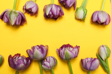 8 Mart kavramı, Kadınlar Günü, metin için alan